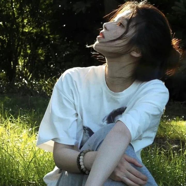 红壳的潘多拉